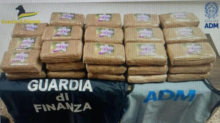 Livorno, 60 chili di cocaina sequestrati in porto: stipati tra le scatole di banane