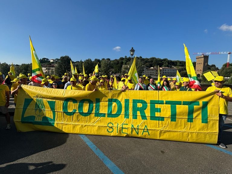 Duemila agricoltori toscani in piazza per la ‘marcia dei cinghiali’: “Serve un nuovo piano di contenimento della fauna selvatica”