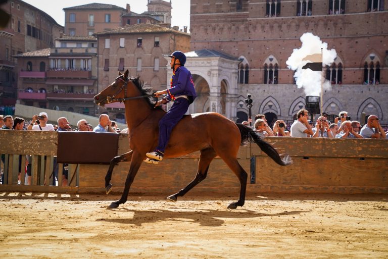Palio di Siena, il Nicchio vince la quarta prova
