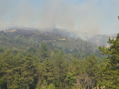 Rischio incendi, prorogato fino al 21 settembre il divieto di abbruciamento