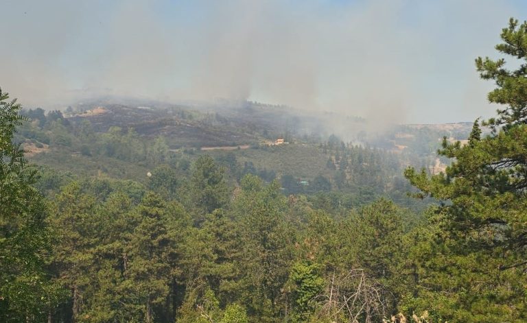 Brucia l’Amiata, in fumo 20 ettari di bosco. Evacuate cento persone