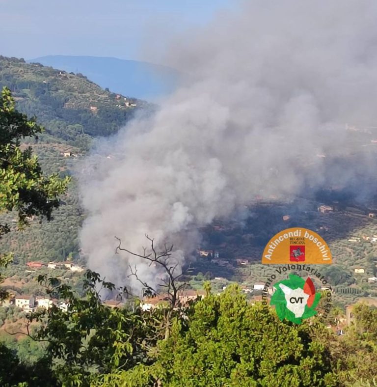 Incendio a Massa e Cozzile. Dopo una notte di lavoro fiamme domate. Cinque ettari di bosco in fumo