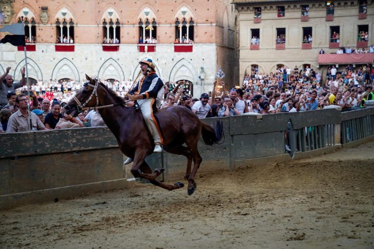 La Contrada della Lupa con l’esordiente Benitos e Velluto vince il Palio di Siena