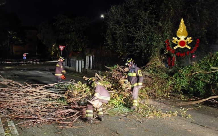 Maltempo, disagi in Toscana: vento sopra i 100 km/h sulla costa