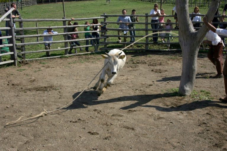 “Tutti mi dicon Maremma”. Scorci e atmosfere in mostra nelle foto di Enzo Russo