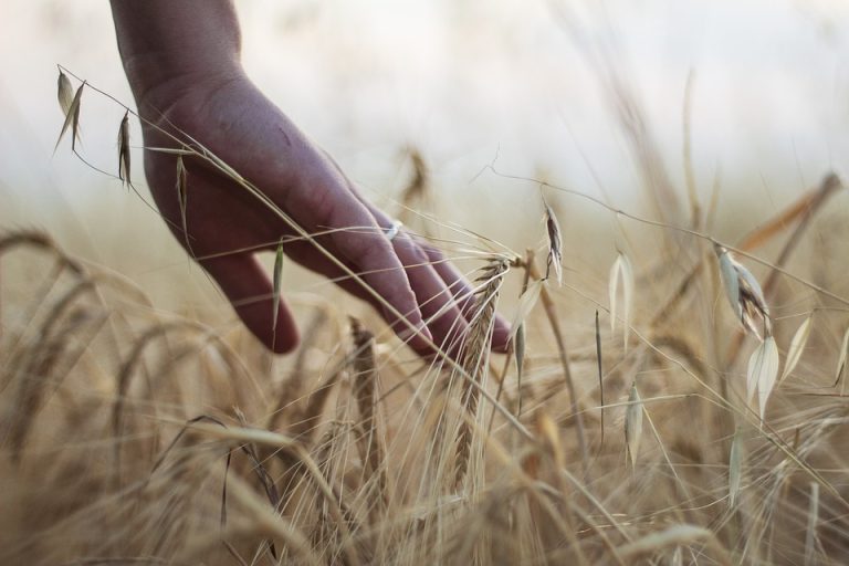 Radices, gli ultimi mezzadri. In mostra volti e storie di agricoltori toscani