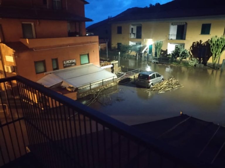 Isola del Giglio colpita dal maltempo. Si contano i danni. Pino abbattuto, scuole chiuse