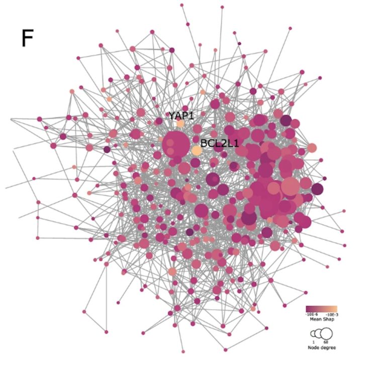 Elaborato dalla Normale modello per prevenire terapie personalizzate sui tumori