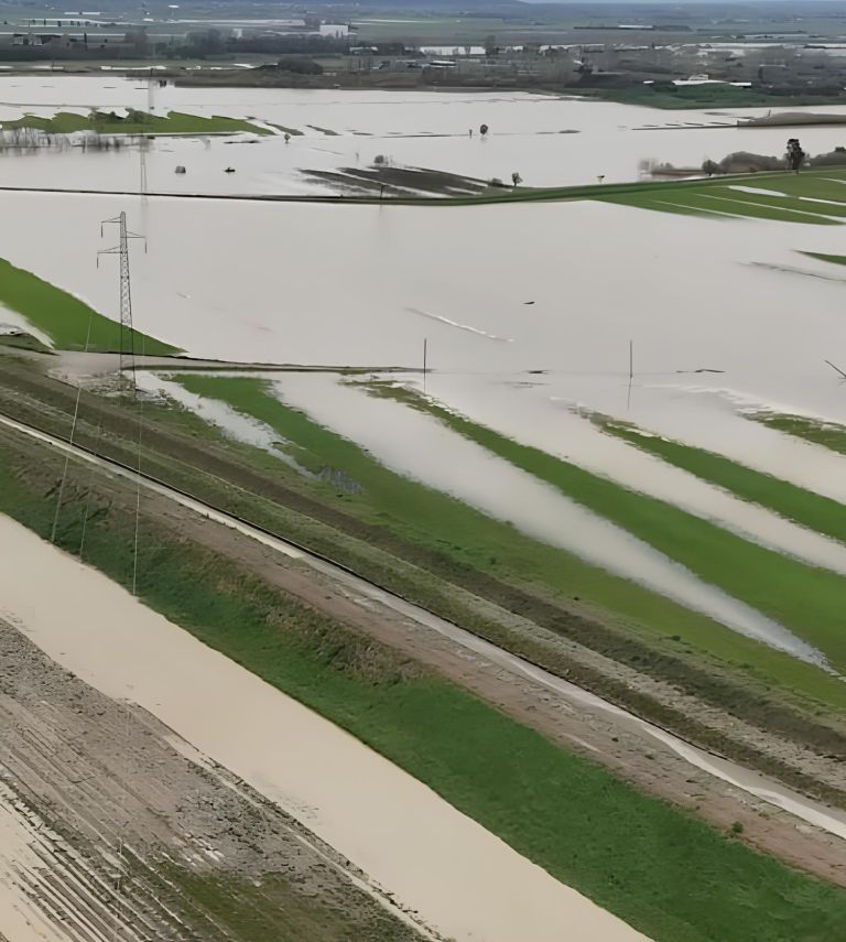 Campi allagati, gli agricoltori presentano il conto: pronta la diffida alla Regione