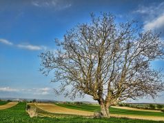 Pasqua e Pasquetta sotto il sole: tornano il bel tempo e le temperature gradevoli
