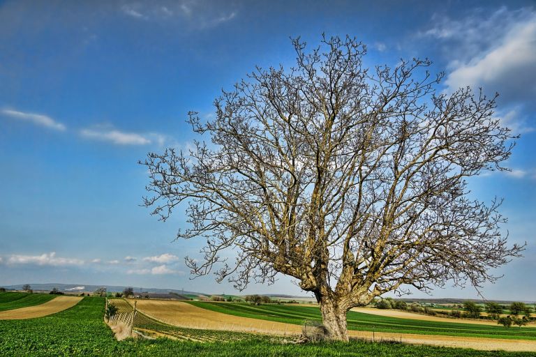 Assaggio d’estate per il 1° maggio in Toscana: bel tempo e temperature sopra la media