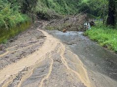 Un quarto dei toscani convive con il rischio di frane e alluvioni: Pisa, Firenze e Lucca i territori più esposti