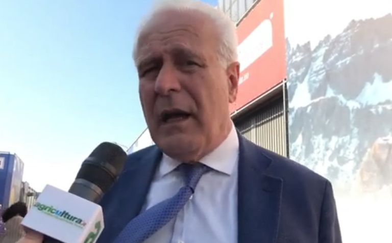 Vinitaly. Giani: Trump irresponsabile. Protezionismo mette preoccupazione sui mercati