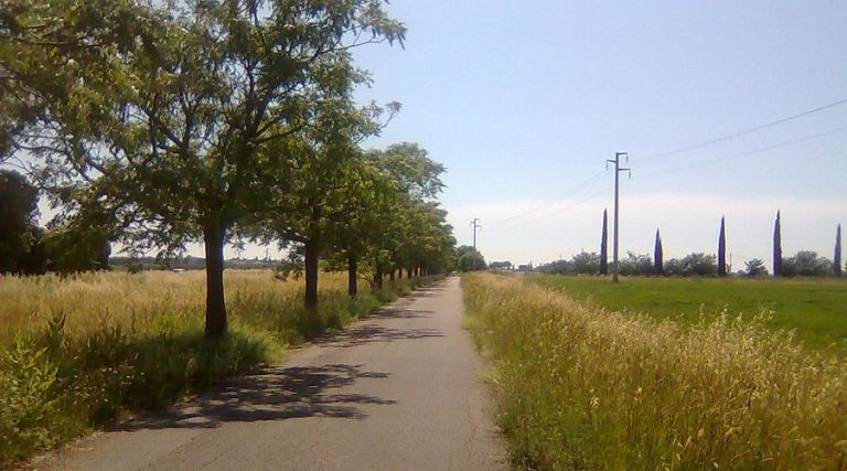 Conclusi i lavori per la nuova illuminazione della pista ciclabile Grosseto-Marina
