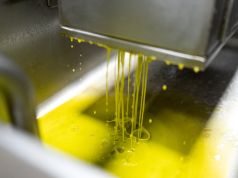 Cala la produzione di olio in Toscana e nell’export incombono i dazi
