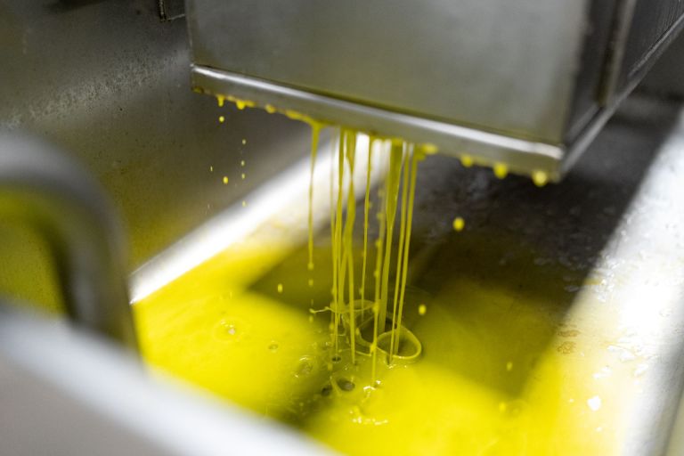 Cala la produzione di olio in Toscana e nell’export incombono i dazi