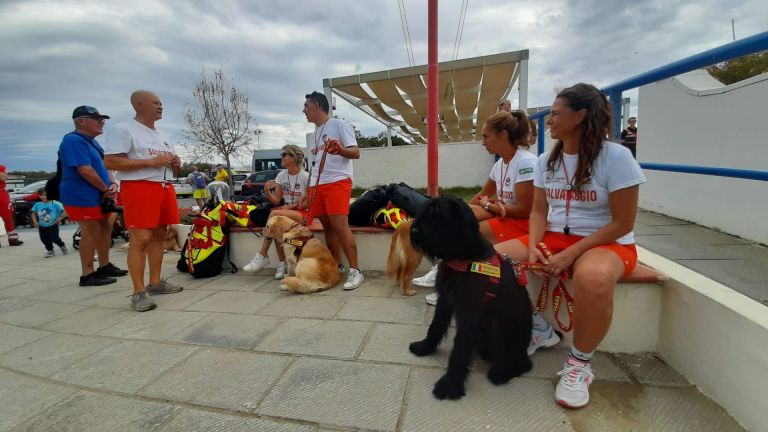A Tirrenia i cani da salvataggio protagonisti della Giornata mondiale della prevenzione dall’annegamento