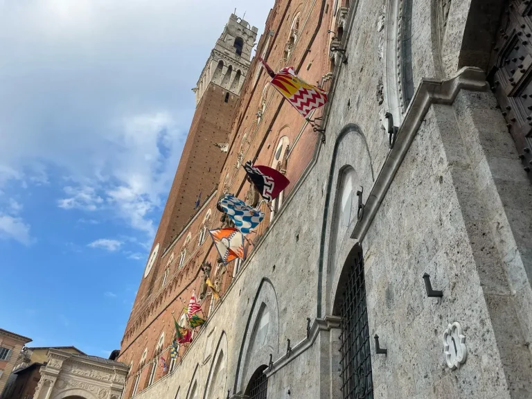 Palio 16 agosto 2025: estratte Leocorno, Onda, Civetta e Valdimontone