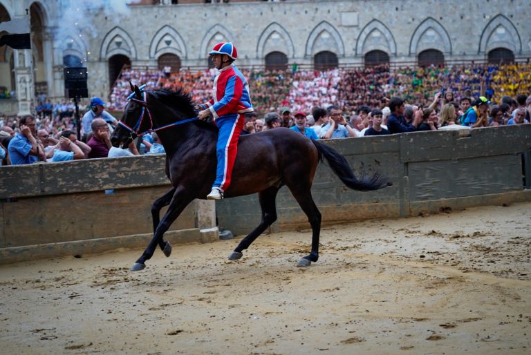 Palio 16 agosto, la Contrada della Pantera vince la prima prova