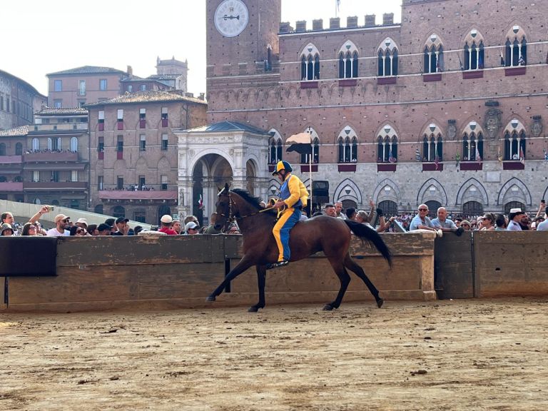 Palio 16 agosto, la Tartuca vince la Provaccia