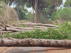 Maltempo in Toscana. Danni nella notte sul litorale a Pisa ed Arezzo. L’allerta diventa arancione su costa e Arcipelago
