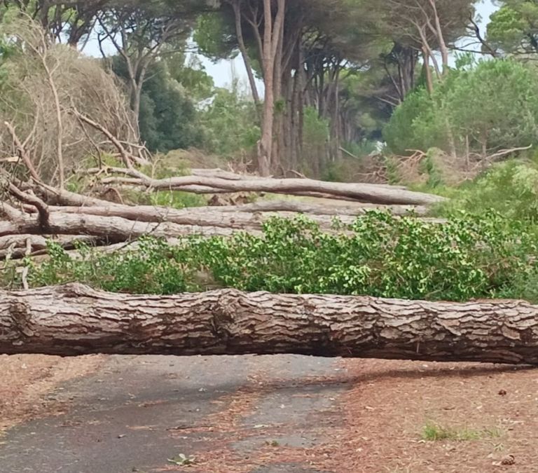 Maltempo in Toscana. Danni nella notte sul litorale a Pisa ed Arezzo. L’allerta diventa arancione su costa e Arcipelago