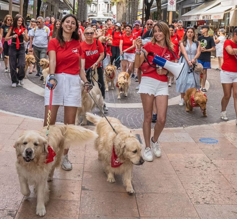 Soci, arriva il raduno nazionale dei Golden Retriever: saranno oltre 150 da tutta Italia