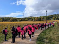 Passeggiata Rosa, il valore di un gesto che unisce nella lotta contro il cancro e fa comunità