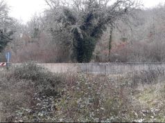 Ponte sulla Sp 2 bis “di Lucarelli” a Radda in Chianti. Via all’intervento di demolizione e ricostruzione. Opera da 250 mila euro