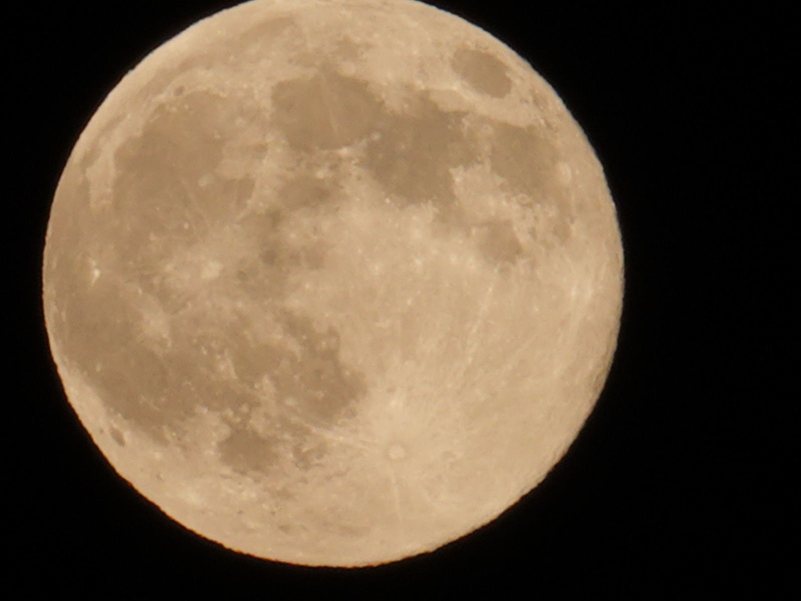 WhatsApp Image 2025-11-05 at 21.30.23