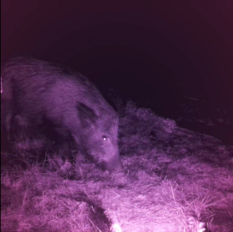 WhatsApp Image 2025-11-06 at 17.41.34