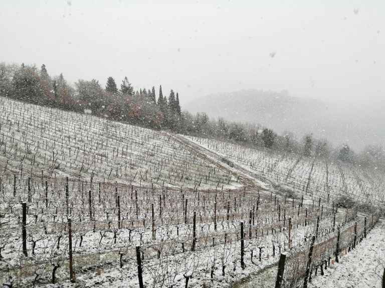 “Sotto la neve pane”. Nevicata dell’Epifania aiuterà colture, viti e olivi