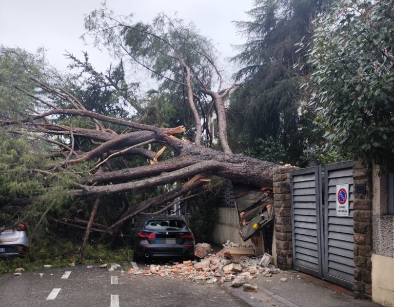 Prato, albero crolla sulla strada: ferito un automobilista