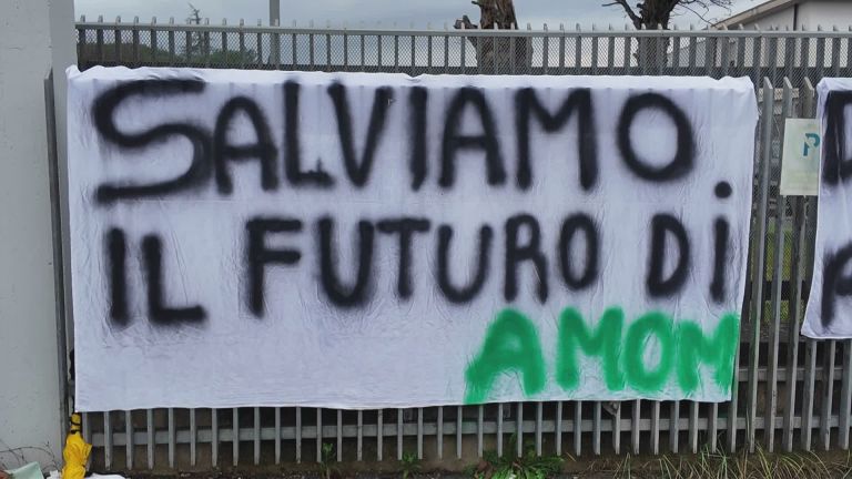 Licenziati con una videochiamata di Capodanno: la multinazionale svizzera chiude Amom e lascia a casa 70 famiglie. Caso in Parlamento