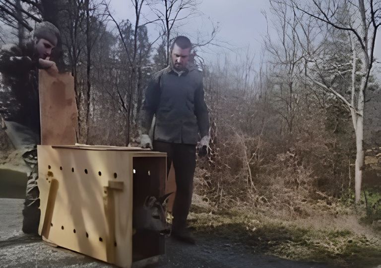 Liberati 18 caprioli catturati nell’area dell’autodromo del Mugello