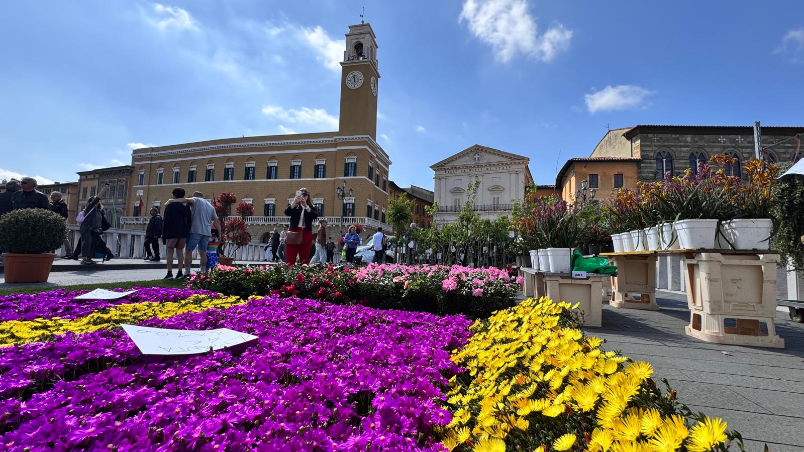 2025 04 11 Verde Pisa (1)