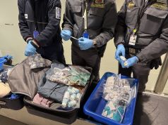 Il business dei farmaci illegali a Peretola: sequestrate 5 mila confezioni nel 2025