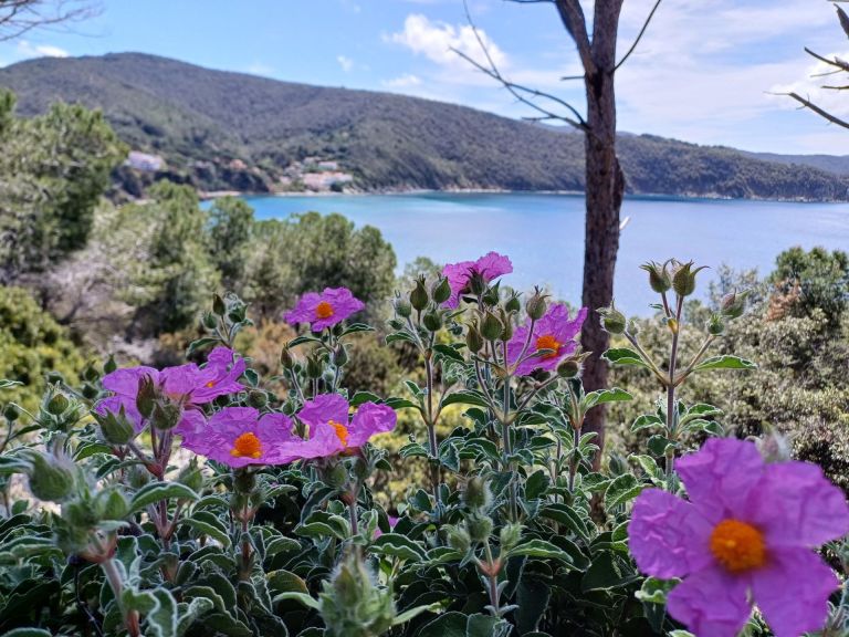 Pasqua nell’Arcipelago Toscano. Escursioni tra natura, storia, enogastronomia nelle isole del Parco