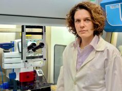 Cervello umano, svelati i segreti della nascita dei neuroni: lo studio d’eccellenza che apre a nuove cure