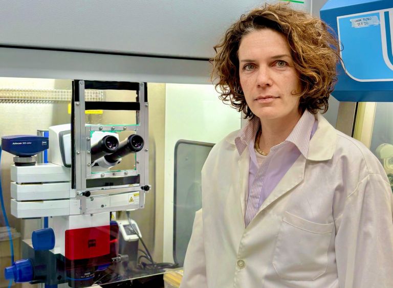 Cervello umano, svelati i segreti della nascita dei neuroni: lo studio d’eccellenza che apre a nuove cure