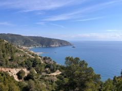 Elba, vivere sull’Isola ha un prezzo: il rapporto shock sui costi dell’insularità