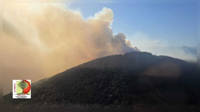 Incendio Monte Faeta. La Fp Cgil Vigili del Fuoco attacca: Per un presunto risparmio meno sicuerezza