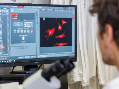Ultrasuoni per contrastare la neuroinfiammazione: nuove prospettive contro le malattie neurodegenerative
