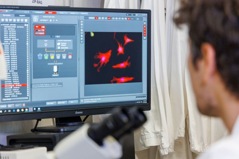 Ultrasuoni per contrastare la neuroinfiammazione: nuove prospettive contro le malattie neurodegenerative