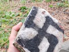 Oltraggio alla memoria di Serantini: compaiono svastiche e simboli neonazisti a Pisa