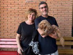 Pesa solo 4 chili e il suo cuore si fermava: Buddy è il primo cane di piccola taglia salvato con un pacemaker a Pisa