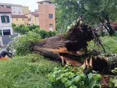 Maltempo, Toscana sotto la pioggia: criticità sulla costa apuana. Emergenze anche a Pisa e Lucca