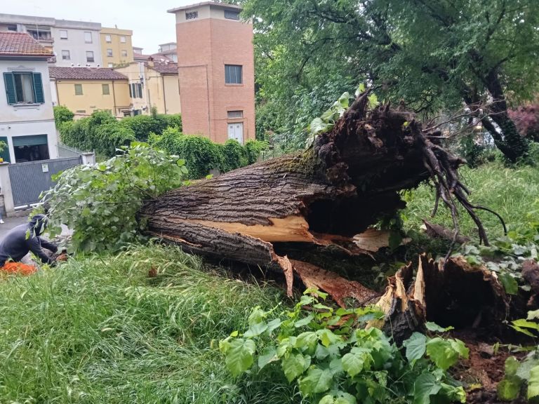 Maltempo, Toscana sotto la pioggia: criticità sulla costa apuana. Emergenze anche a Pisa e Lucca