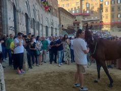 Palio 2 luglio, l’elenco dei cavalli presentati alla Tratta