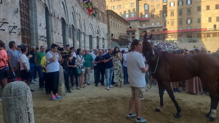 Palio 2 luglio, l’elenco dei cavalli presentati alla Tratta